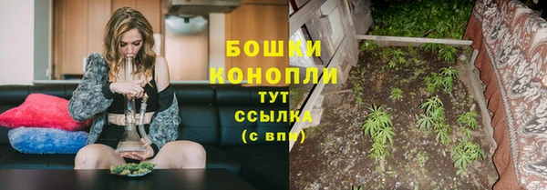 СК Арсеньев