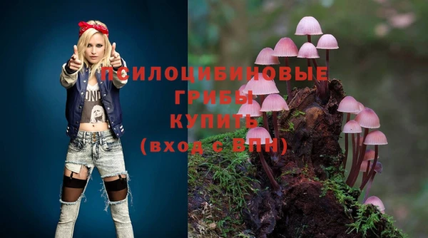 ГАЛЛЮЦИНОГЕННЫЕ ГРИБЫ Армянск